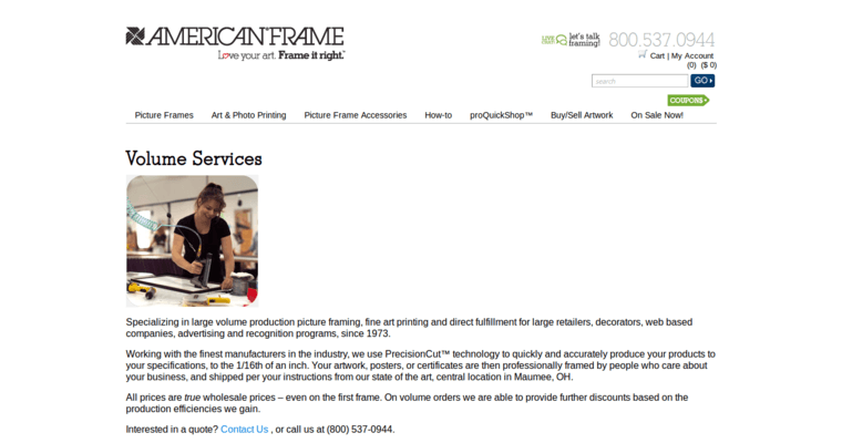 Service page of #4 Best Giclee printing Company: American Frame 
