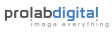  Best Giclee printing Business Logo: PROLAB Digital